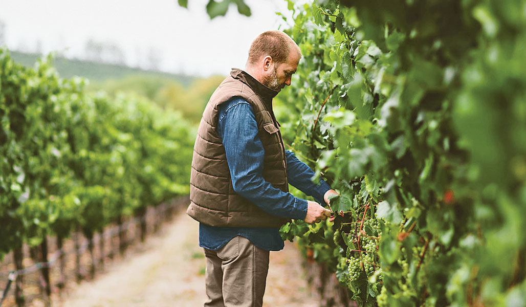 photo_our_story_winemaker_trimming